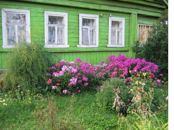 Деревенские палисадники: поездка в Углич