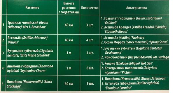 Цветник в полутени: подборка растений и схема посадки