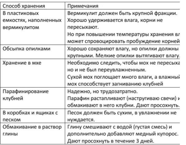 Многолетние георгины: особенности выращивания, подкормки, способы хранения