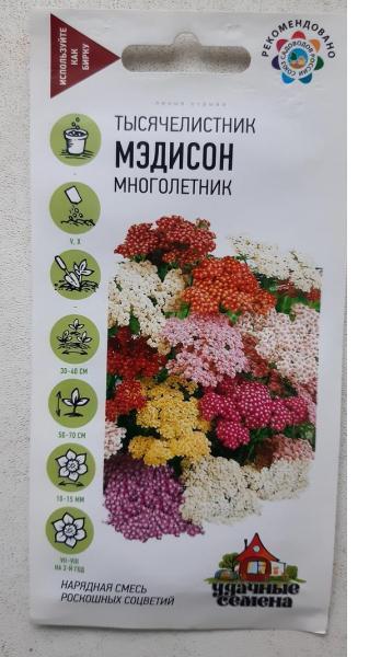 Миксбордер для души: чем заполнить цветник вдоль забора. Подборка растений с фото. Схема цветника